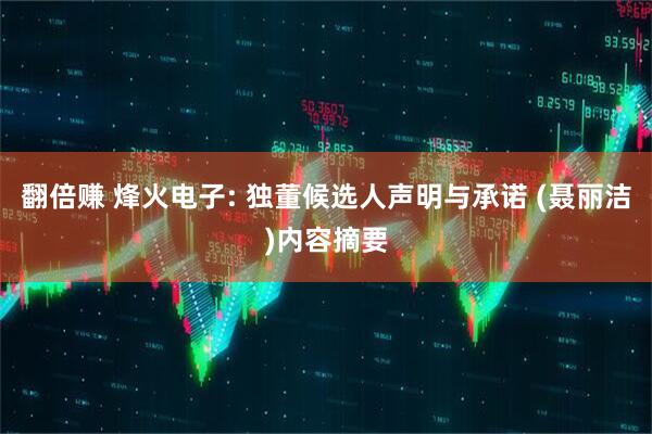 翻倍赚 烽火电子: 独董候选人声明与承诺 (聂丽洁)内容摘要