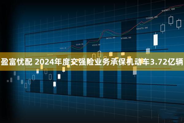 盈富忧配 2024年度交强险业务承保机动车3.72亿辆