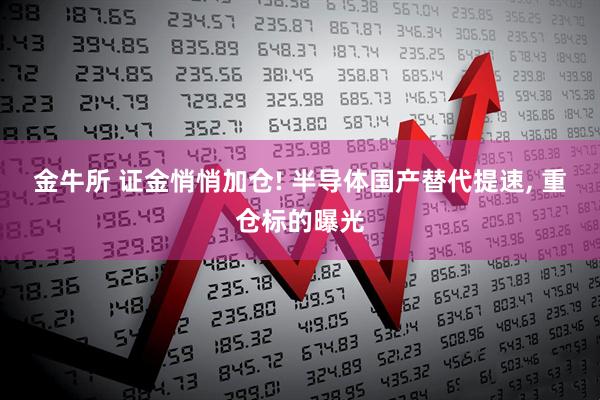金牛所 证金悄悄加仓! 半导体国产替代提速, 重仓标的曝光